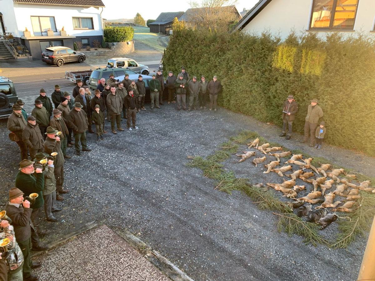 Nachbericht Fuchswoche 2024